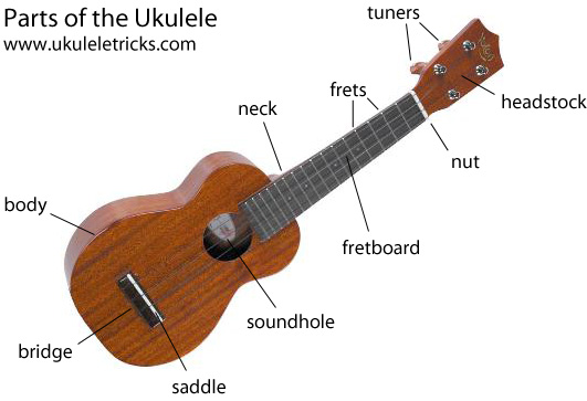 Ukulele Anatomy: the Parts of the Ukulele | Ukulele Tricks
