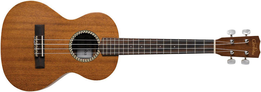 Types of Ukuleles